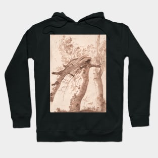 Two Silver Birches, the Front One Fallen by Nicolas Poussin Hoodie